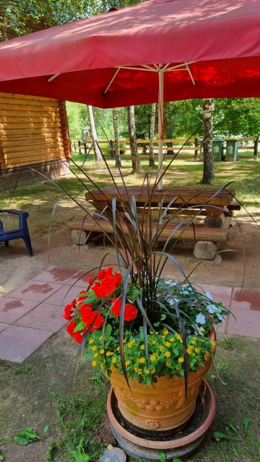 Camping Oskalns Cēsis Eksteriør billede
